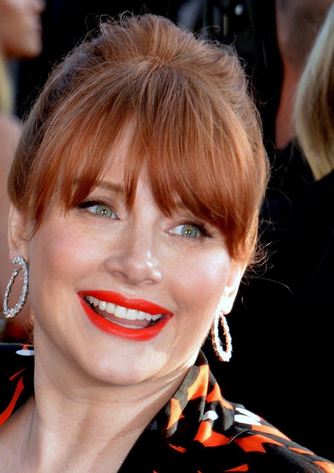 Bryce Dallas Howard Plastic Surgery Face