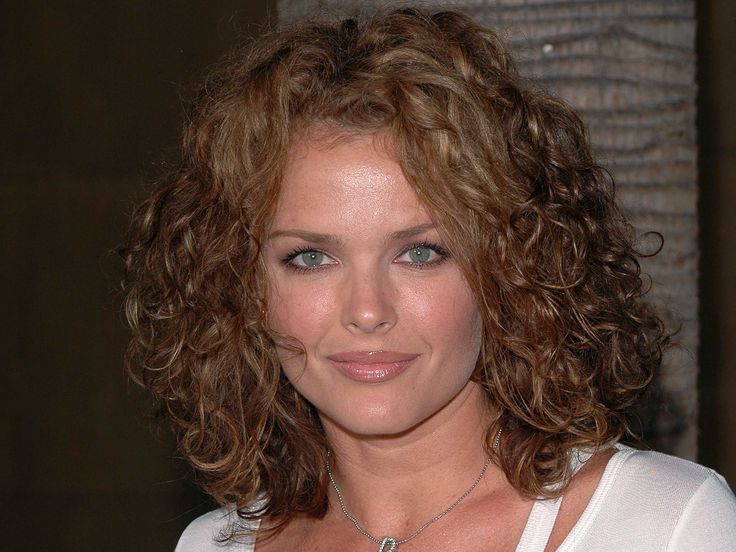 Did Dina Meyer Get Plastic Surgery? Body Measurements and More!