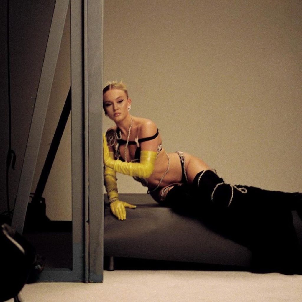 Zara Larsson Cosmetic Surgery Body