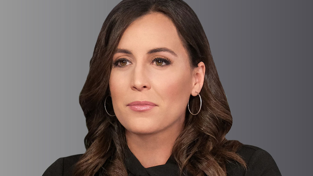 Did Hallie Jackson Undergo Plastic Surgery? Facts and Rumors!