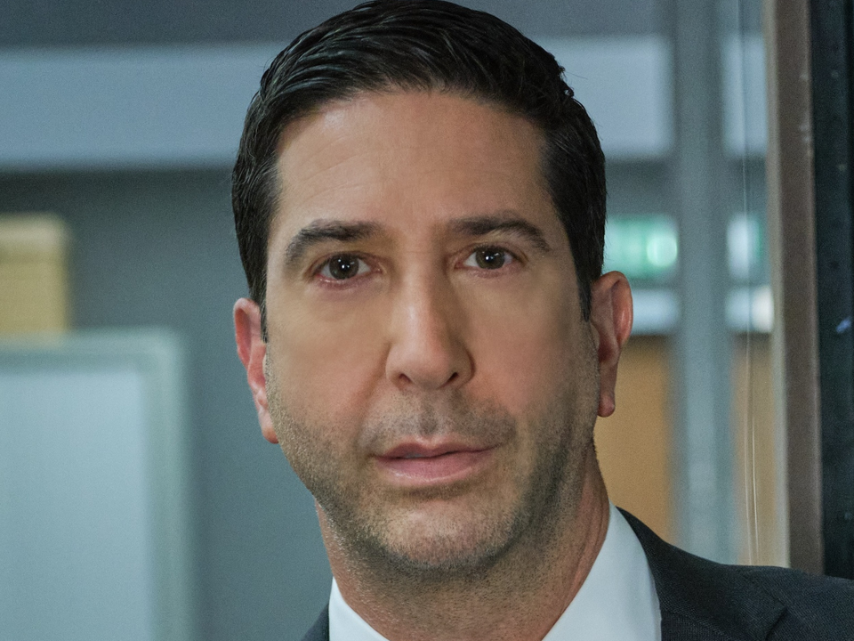 David Schwimmer Cosmetic Surgery