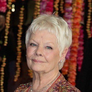 Judi Dench Cosmetic Surgery Face