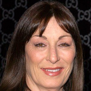 Anjelica Huston Plastic Surgery Procedures